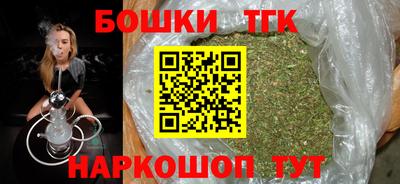 МДПВ Камышлов