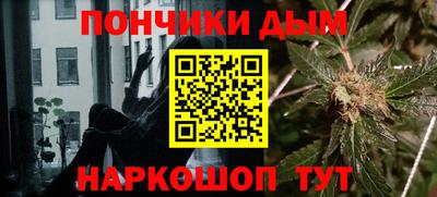 МДПВ Камышлов
