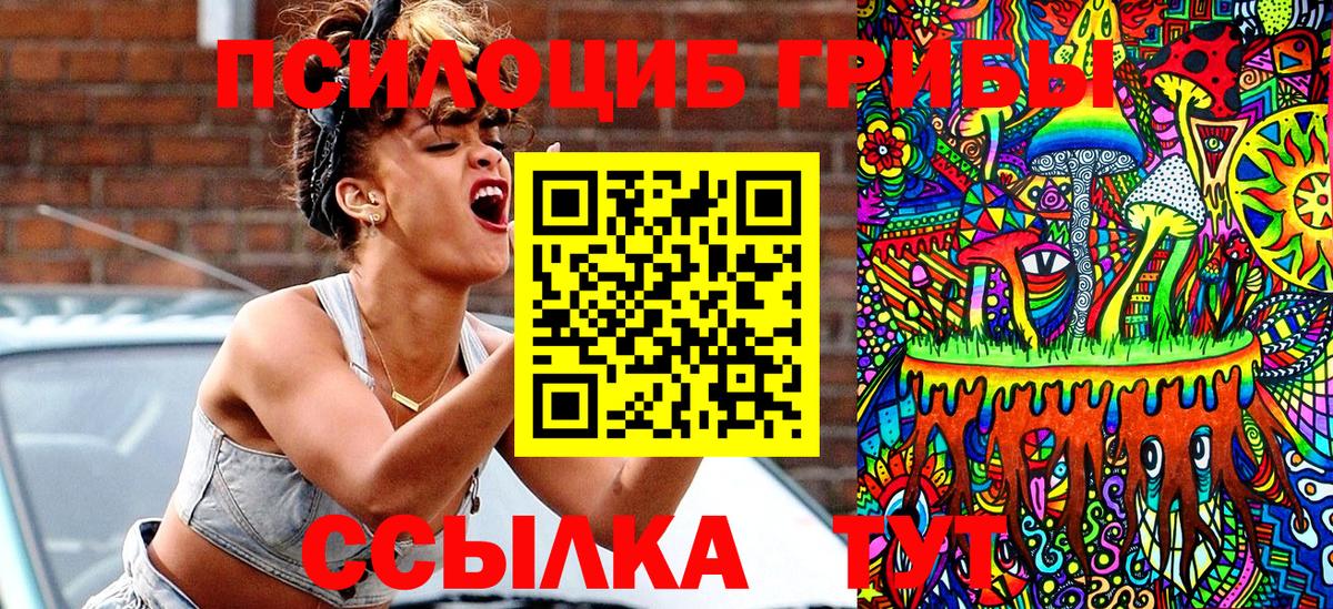 Псилоцибиновые грибы Psilocybine cubensis  Вход с VPN  Гудермес 