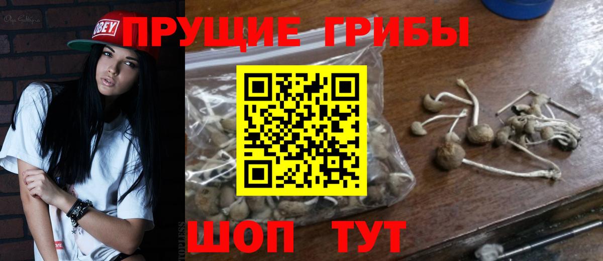 Галлюциногенные грибы Magic Shrooms Гудермес