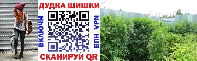 маркетплейс как зайти  Гудермес  Бошки Шишки Ganja 